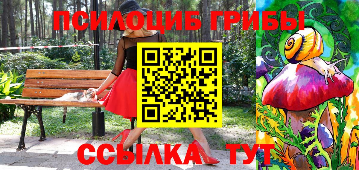 Владикавказ  Псилоцибиновые грибы мицелий  Вход с VPN 
