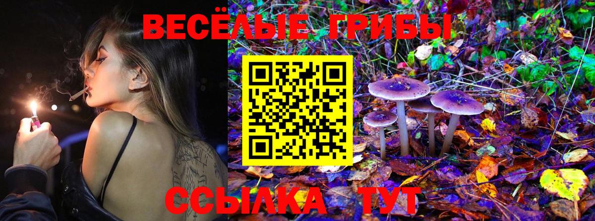 Галлюциногенные грибы GOLDEN TEACHER Владикавказ