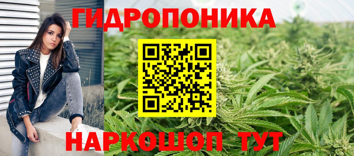 Бошки марихуана THC 21%  Каннабис LSD WEED  Конопля THC 21%  Вход с VPN  Канабис LSD WEED  Владикавказ 